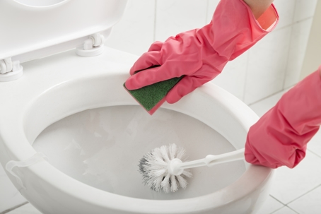 Close up of hands wearing protective gloves, scrubbing toilet with sponge and brush
